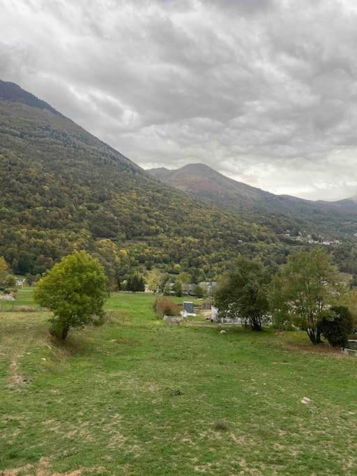 Bel Dans Cheminee /jardin Luz-Saint-Sauveur
