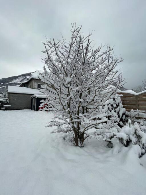 Bel Dans Cheminee /jardin Luz-Saint-Sauveur